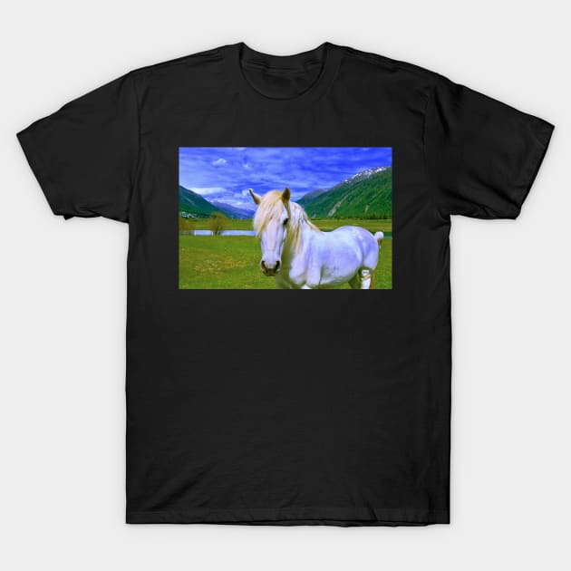 Horse in Wonderland / Swiss Artwork Photography T-Shirt by RaphaelWolf